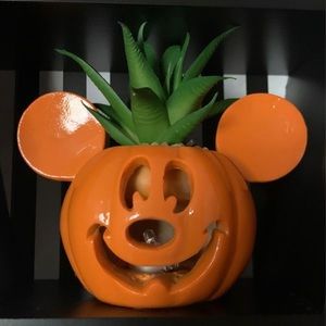 Disney planters poison apple pumpkin Mickey